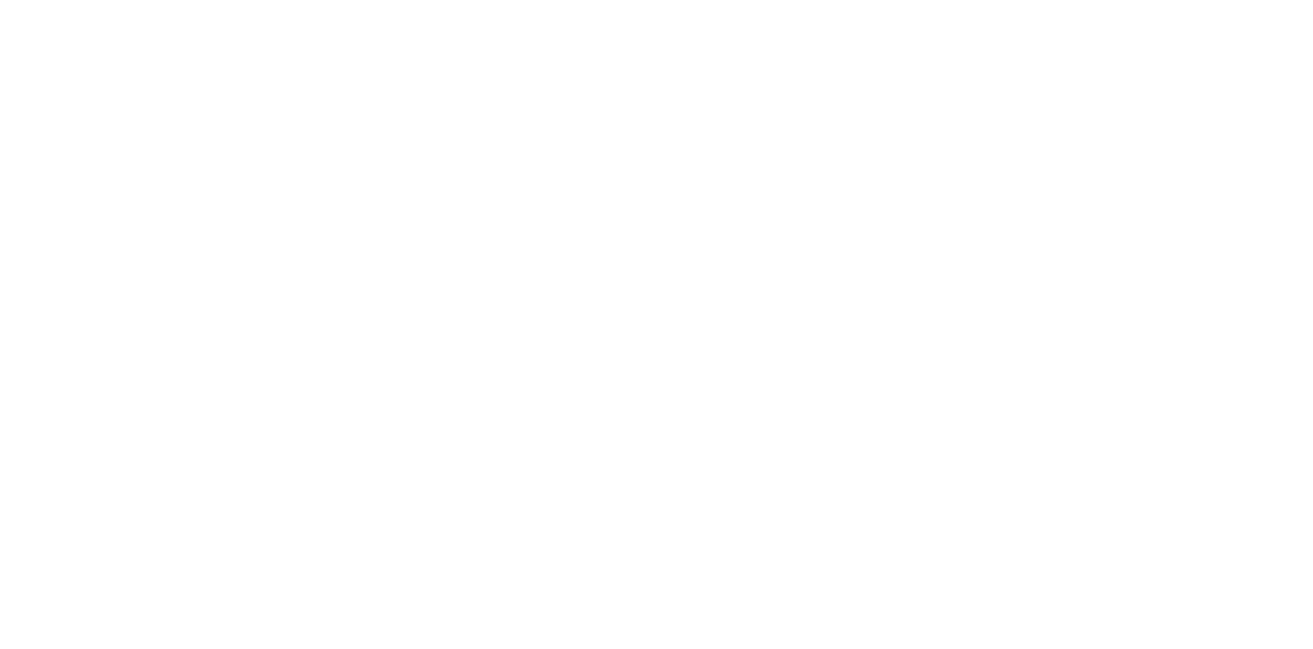Jelena Studio