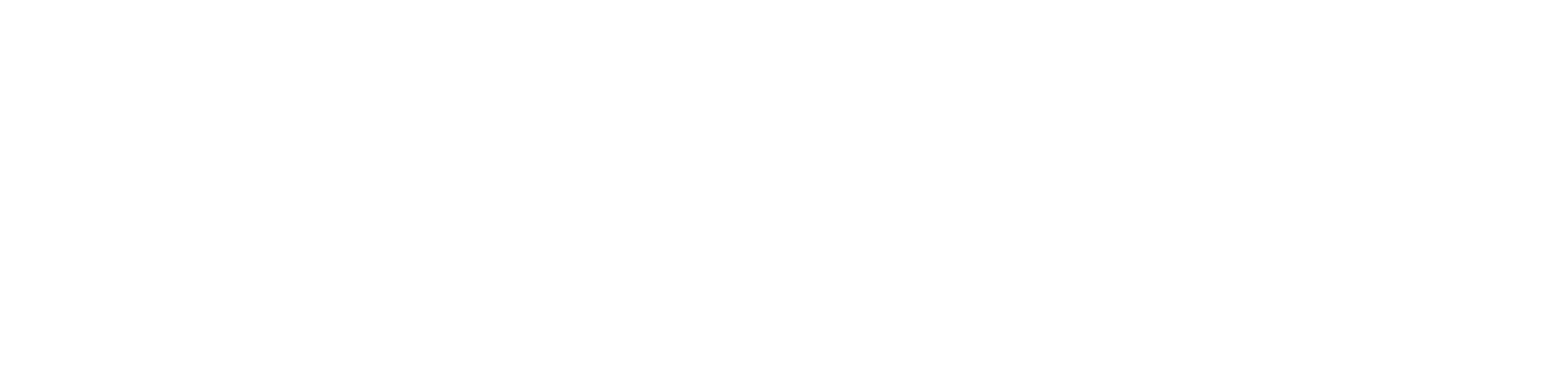 Jelena Studio